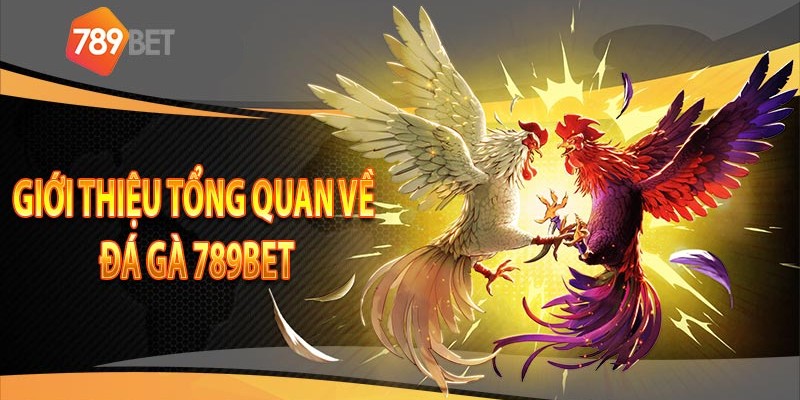 Đá gà tại 789Bet luôn nhận được sự tin tưởng