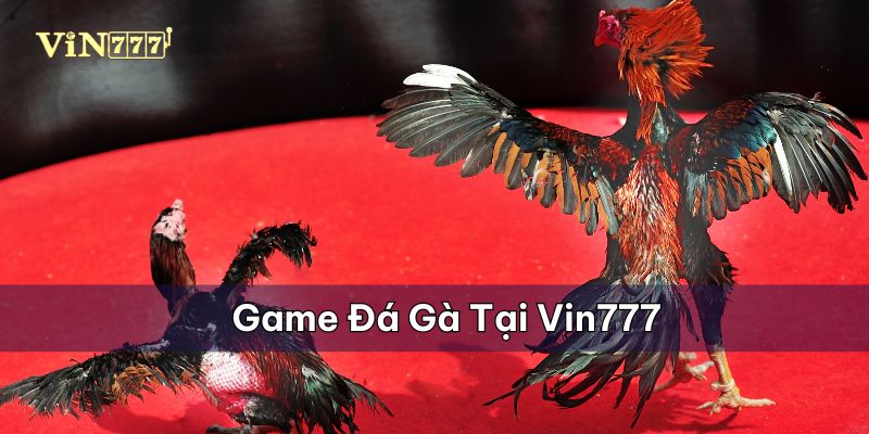 Game Đá gà cựa sắt nổi tiếng tại sân chơi Vin777