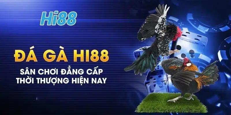 Đá gà Hi88 và hàng loạt loại hình hấp dẫn