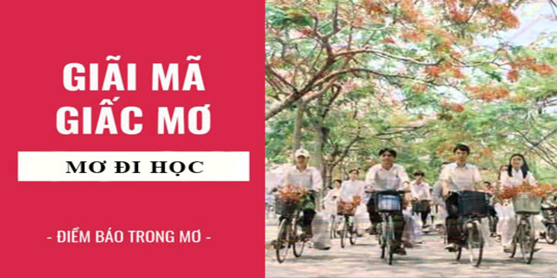 Giải mã giấc mơ thấy đi học