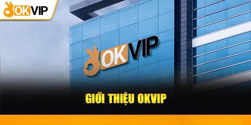 Giới thiệu Okvip, cộng đồng người chơi đông đảo