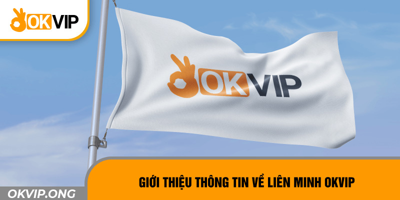 OKVIP: đánh giá và nhận xét từ người dùng