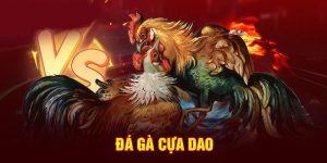 hôm nay đá gà màu nào mạnh