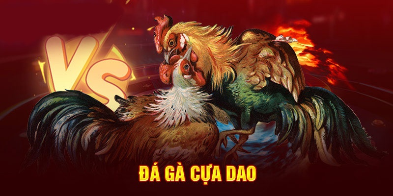hôm nay đá gà màu nào mạnh