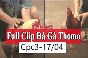 Video đá gà Campuchia CPC3